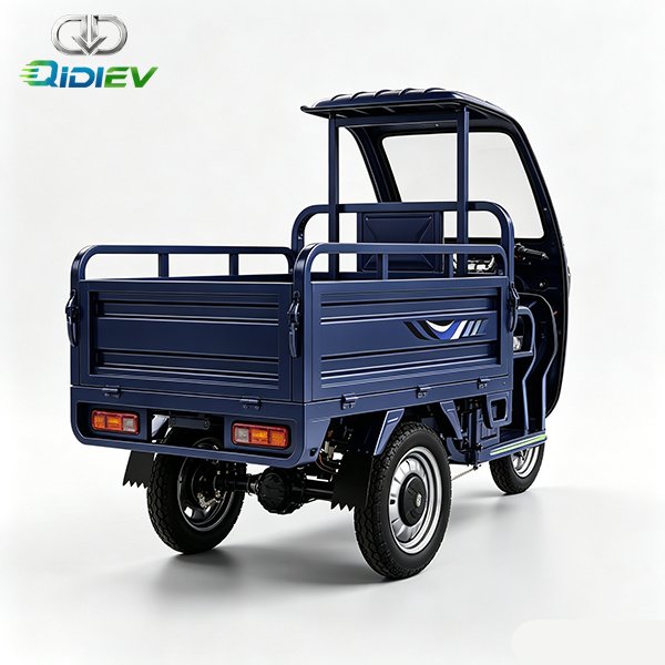 Electric-tricycle-with-detachable-fender-and-canopy-2
