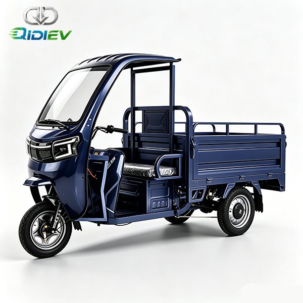 Electric-tricycle-with-detachable-fender-and-canopy-3