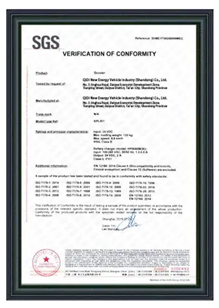 SGS-Certification-for-the-Manufacturing-and-Sales-of-Electric-Tricycles-1